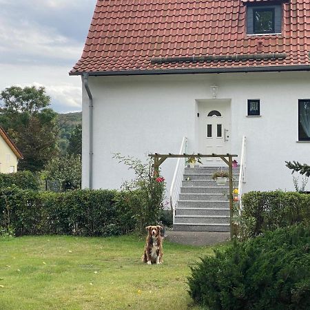 Ferienhaus Am Muehlgraben Thale Extérieur photo